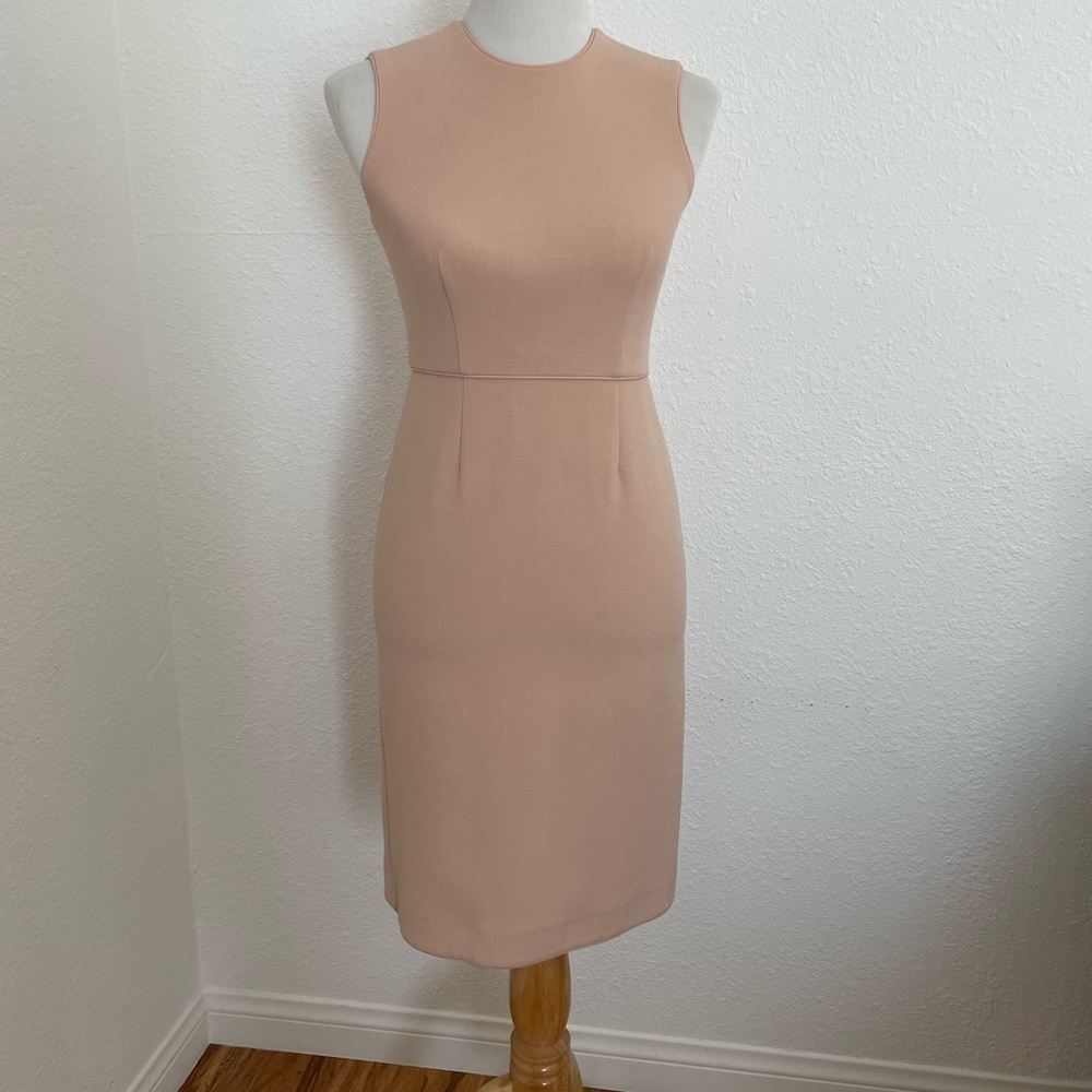 Ann Taylor Dusty Rose Dress